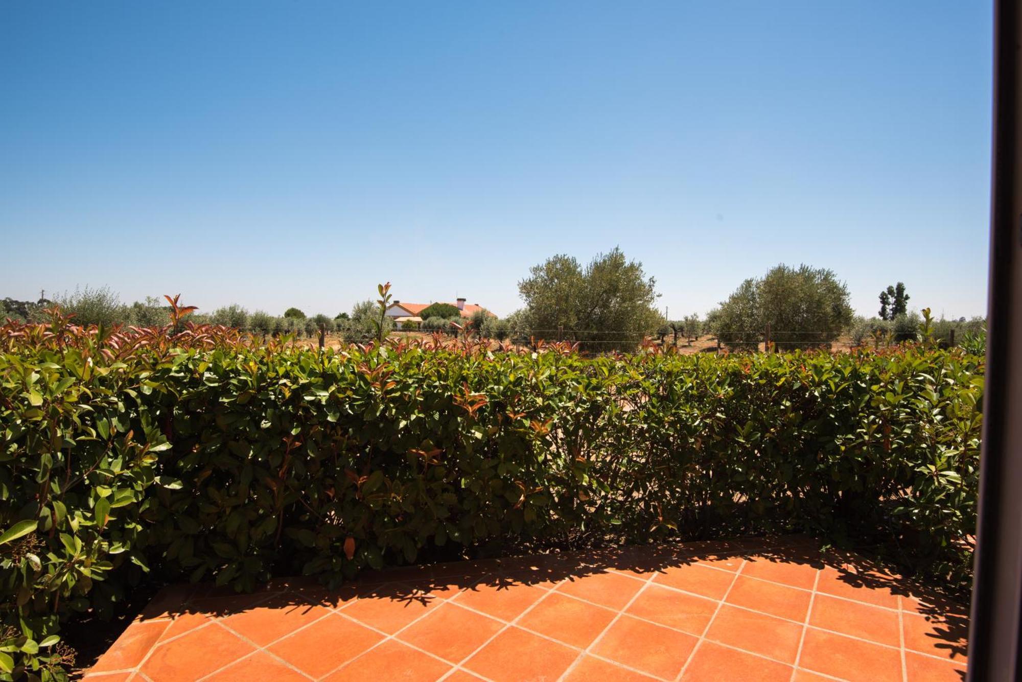 Vila Gale Alentejo Vineyard - Clube De Campo Albernoa Exterior foto