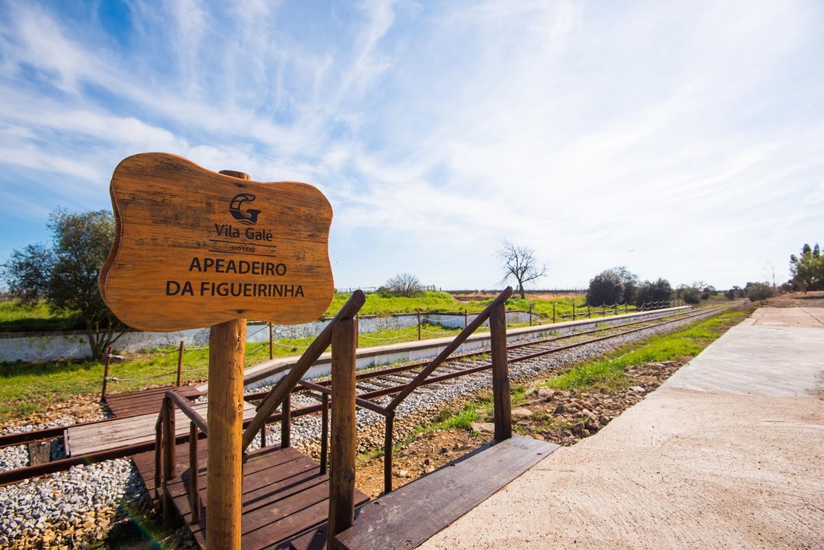 Vila Gale Alentejo Vineyard - Clube De Campo Albernoa Exterior foto