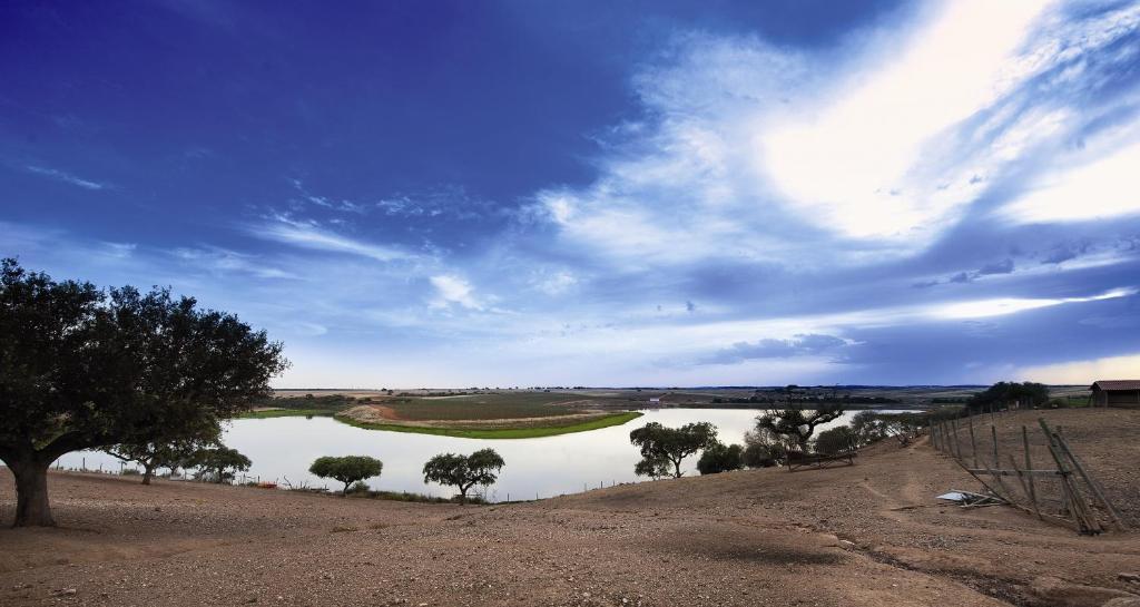 Vila Gale Alentejo Vineyard - Clube De Campo Albernoa Exterior foto