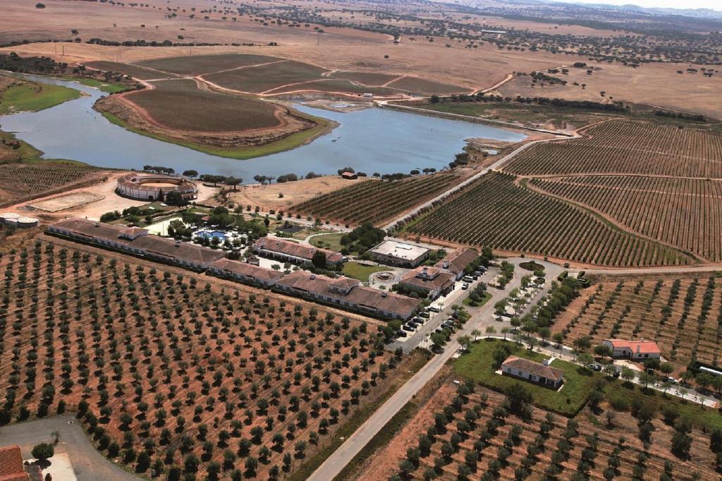 Vila Gale Alentejo Vineyard - Clube De Campo Albernoa Exterior foto